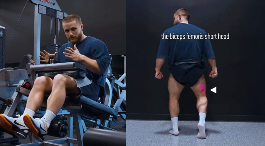 How to Target Your Leg Muscles For Hamstring Development